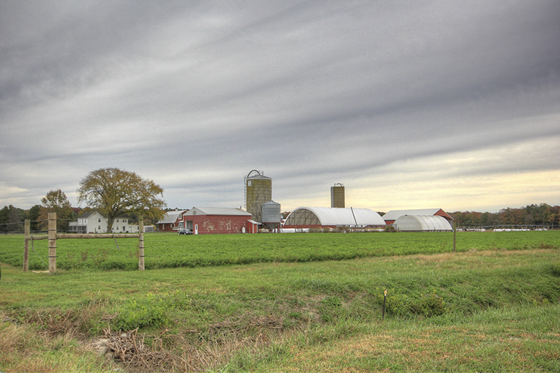 farm country farm country